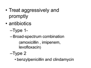 • Treat aggressively and
promptly
• antibiotics
–Type 1-
–Broad-spectrum combination
(amoxicillin , imipenem,
levofloxacin)
–Type 2
• benzylpenicillin and clindamycin
 