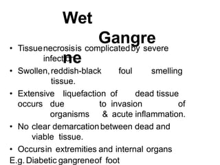 Wet
Gangre
ne
• Tissuenecrosisis complicatedby severe
infection.
• Swollen,reddish-black foul smelling
tissue.
• Extensive liquefaction of dead tissue
occurs due to invasion of
organisms & acute inflammation.
• No clear demarcationbetween dead and
viable tissue.
• Occursin extremities and internal organs
E.g.Diabetic gangreneof foot
 
