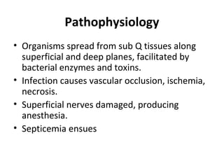 Pathophysiology
• Organisms spread from sub Q tissues along
superficial and deep planes, facilitated by
bacterial enzymes and toxins.
• Infection causes vascular occlusion, ischemia,
necrosis.
• Superficial nerves damaged, producing
anesthesia.
• Septicemia ensues
 