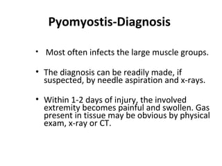 Pyomyostis-Diagnosis
• Most often infects the large muscle groups.
• The diagnosis can be readily made, if
suspected, by needle aspiration and x-rays.
• Within 1-2 days of injury, the involved
extremity becomes painful and swollen. Gas
present in tissue may be obvious by physical
exam, x-ray or CT.
 