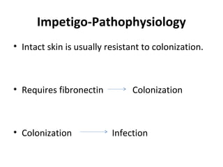 Impetigo-Pathophysiology
• Intact skin is usually resistant to colonization.
• Requires fibronectin Colonization
• Colonization Infection
 