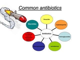 Common antibiotics
Macrolides
Others
-Combined
Tazocine
Tazopactum
Bactrim
Septrin
Fluoroquinolones carmabenum
Aminoglycosides
Cephalosporine
Penecillin
Antibiotics
 