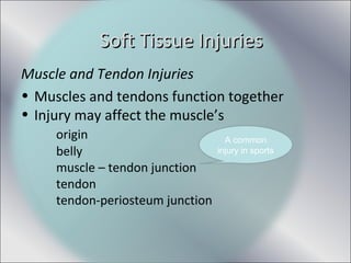 Muscle and Tendon Injuries
• Muscles and tendons function together
• Injury may affect the muscle’s
origin
belly
muscle – tendon junction
tendon
tendon-periosteum junction
A common
injury in sports
Soft Tissue InjuriesSoft Tissue Injuries
 
