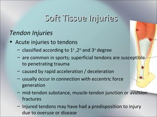 Tendon Injuries
• Acute injuries to tendons
– classified according to 1st
,2nd
and 3rd
degree
– are common in sports; superficial tendons are susceptible
to penetrating trauma
– caused by rapid acceleration / deceleration
– usually occur in connection with eccentric force
generation
– mid-tendon substance, muscle-tendon junction or avulsion
fractures
– Injured tendons may have had a predisposition to injury
due to overuse or disease
Soft Tissue InjuriesSoft Tissue Injuries
 