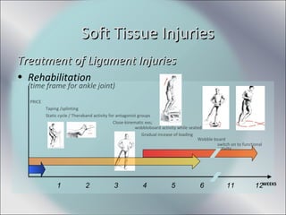 Treatment of Ligament InjuriesTreatment of Ligament Injuries
• Rehabilitation
(time frame for ankle joint)
PRICE
Taping /splinting
Static cycle / Theraband activity for antagonist groups
Close-kinematic exs;
wobbloboard activity while seated
Gradual incease of loading
Wobble board
switch on to functional
activity
Soft Tissue InjuriesSoft Tissue Injuries
WEEKS
1 2 3 4 5 6 11 12
 