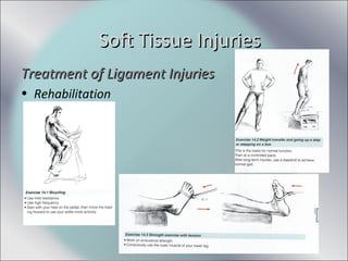 Treatment of Ligament InjuriesTreatment of Ligament Injuries
• Rehabilitation
Soft Tissue InjuriesSoft Tissue Injuries
 