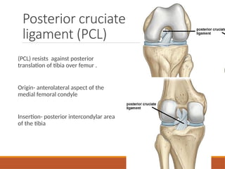 Soft tissue injuries - Muscles , ligaments and tendon injuries | PPTX
