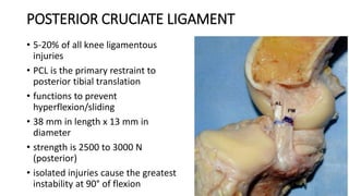 POSTERIOR CRUCIATE LIGAMENT
• 5-20% of all knee ligamentous
injuries
• PCL is the primary restraint to
posterior tibial translation
• functions to prevent
hyperflexion/sliding
• 38 mm in length x 13 mm in
diameter
• strength is 2500 to 3000 N
(posterior)
• isolated injuries cause the greatest
instability at 90° of flexion
 