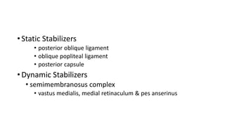 • Static Stabilizers
• posterior oblique ligament
• oblique popliteal ligament
• posterior capsule
• Dynamic Stabilizers
• semimembranosus complex
• vastus medialis, medial retinaculum & pes anserinus
 