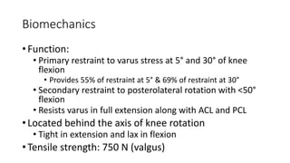 Biomechanics
• Function:
• Primary restraint to varus stress at 5° and 30° of knee
flexion
• Provides 55% of restraint at 5° & 69% of restraint at 30°
• Secondary restraint to posterolateral rotation with <50°
flexion
• Resists varus in full extension along with ACL and PCL
• Located behind the axis of knee rotation
• Tight in extension and lax in flexion
• Tensile strength: 750 N (valgus)
 