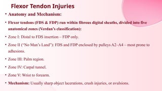Fds Injuries soft tissue injuries of Hand physiotherapy | PPTX