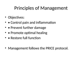 Soft_Tissue_Injury_Maheshwari_25Slides.pptx