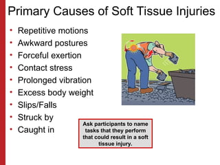 Primary Causes of Soft Tissue Injuries
• Repetitive motions
• Awkward postures
• Forceful exertion
• Contact stress
• Prolonged vibration
• Excess body weight
• Slips/Falls
• Struck by
• Caught in
Ask participants to name
tasks that they perform
that could result in a soft
tissue injury.
 