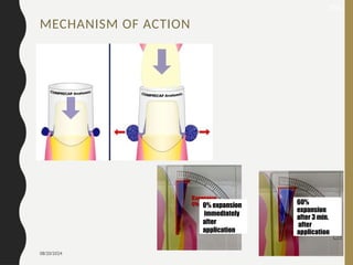 08/20/2024 101
0% expansion
immediately
after
application
60%
expansion
after 3 min.
after
application
165
MECHANISM OF ACTION
 