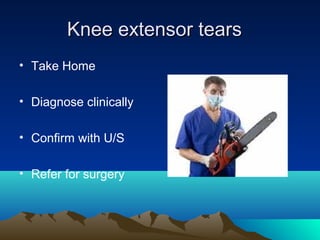 Knee extensor tearsKnee extensor tears
• Take Home
• Diagnose clinically
• Confirm with U/S
• Refer for surgery
 