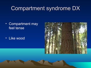 Compartment syndrome DXCompartment syndrome DX
• Compartment may
feel tense
• Like wood
 