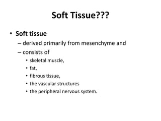 Soft Tissue??? 
• Soft tissue 
– derived primarily from mesenchyme and 
– consists of 
• skeletal muscle, 
• fat, 
• fibrous tissue, 
• the vascular structures 
• the peripheral nervous system. 
 