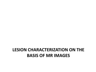 LESION CHARACTERIZATION ON THE 
BASIS OF MR IMAGES 
 