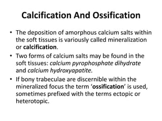 Calcification And Ossification 
• The deposition of amorphous calcium salts within 
the soft tissues is variously called mineralization 
or calcification. 
• Two forms of calcium salts may be found in the 
soft tissues: calcium pyrophosphate dihydrate 
and calcium hydroxyapatite. 
• If bony trabeculae are discernible within the 
mineralized focus the term ‘ossification’ is used, 
sometimes prefixed with the terms ectopic or 
heterotopic. 
 