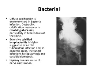 Bacterial 
• Diffuse calcification is 
extremely rare in bacterial 
infection. Dystrophic 
calcification may occur in 
resolving abscesses, 
particularly in tuberculosis of 
the spine. 
• Extensive calcified 
lymphadenitis is highly 
suggestive of an old 
tuberculous infection and, in 
endemic areas, the fungal 
infections histoplasmosis and 
coccidioidomycosis. 
• Leprosy is a rare cause of 
nerve calcification. 
 