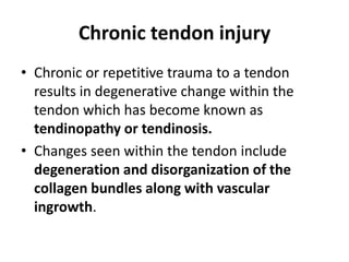 Chronic tendon injury 
• Chronic or repetitive trauma to a tendon 
results in degenerative change within the 
tendon which has become known as 
tendinopathy or tendinosis. 
• Changes seen within the tendon include 
degeneration and disorganization of the 
collagen bundles along with vascular 
ingrowth. 
 