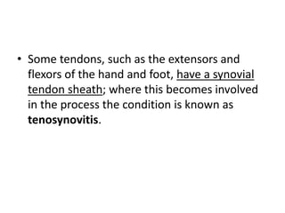 • Some tendons, such as the extensors and 
flexors of the hand and foot, have a synovial 
tendon sheath; where this becomes involved 
in the process the condition is known as 
tenosynovitis. 
 