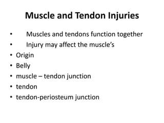 Muscle and Tendon Injuries
• Muscles and tendons function together
• Injury may affect the muscle’s
• Origin
• Belly
• muscle – tendon junction
• tendon
• tendon-periosteum junction
 