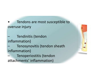• Tendons are most susceptible to
overuse injury
– Tendinitis (tendon
inflammation)
– Tenosynovitis (tendon sheath
inflammation)
– Tenoperiostitis (tendon
attachments’ inflammation)
 
