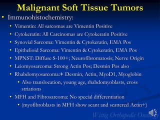 Malignant Soft Tissue Tumors
• Immunohistochemistry:
• Vimentin: All sarcomas are Vimentin Positive
• Cytokeratin: All Carcinomas are Cytokeratin Positive
• Synovial Sarcoma: Vimentin & Cytokeratin, EMA Pos
• Epithelioid Sarcoma: Vimentin & Cytokeratin, EMA Pos
• MPNST: Diffuse S-100+; Neurofibromatosis; Nerve Origin
• Leiomyosarcoma: Strong Actin Pos; Desmin Pos also
• Rhabdomyosarcoma:+ Desmin, Actin, MyoD1, Myoglobin
• Also translocation, young age, rhabdomyoblasts, cross
striations
• MFH and Fibrosarcoma: No special differentiation
• (myofibroblasts in MFH show scant and scattered Actin+)
 