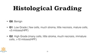 Histological Grading
• G0: Benign
• G1: Low Grade ( few cells, much stroma, little necrosis, mature cells,
<5 mitoses/HPF)
• G2: High Grade (many cells, little stroma, much necrosis, immature
cells, >10 mitoses/HPF)
35
 