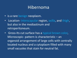 Hibernoma
• is a rare benign neoplasm.
• Location- interscapular region, axilla, and thigh,
but also in the mediastinum and
retroperitoneum.
• Gross-Its cut surface has a typical brown color,
Microscopic- pattern is characteristic – an
organoid arrangement of large cells with centrally
located nucleus and a cytoplasm filled with many
small vacuoles that stain for neutral fat.
 