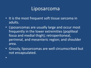 Liposarcoma
• It is the most frequent soft tissue sarcoma in
adults.
• Liposarcomas are usually large and occur most
frequently in the lower extremities (popliteal
fossa and medial thigh); retroperitoneal,
perirenal, and mesenteric region; and shoulder
area.
• Grossly, liposarcomas are well circumscribed but
not encapsulated.
•
 