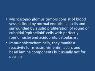 • Microscopic- glomus tumors consist of blood
vessels lined by normal endothelial cells and
surrounded by a solid proliferation of round or
cuboidal ‘epithelioid’ cells with perfectly
round nuclei and acidophilic cytoplasm .
• Immunohistochemically, they manifest
reactivity for myosin, vimentin, actin, and
basal lamina components but usually not for
desmin.
 