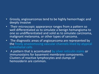 • Grossly, angiosarcomas tend to be highly hemorrhagic and
deeply invasive
• Their microscopic appearance ranges from a pattern so
well differentiated as to simulate a benign hemangioma to
one so undifferentiated and solid as to simulate carcinoma,
malignant melanoma, or other types of sarcoma.
• The diagnostic areas of angiosarcoma are represented by
the freely anastomosing vascular channels lined by atypical
endothelial cells
• A pattern that is accentuated by silver reticulin stains or
immunostains for basement membrane components.
Clusters of reactive lymphocytes and clumps of
hemosiderin are common.
 