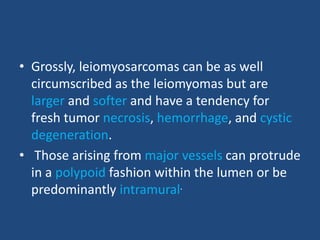 • Grossly, leiomyosarcomas can be as well
circumscribed as the leiomyomas but are
larger and softer and have a tendency for
fresh tumor necrosis, hemorrhage, and cystic
degeneration.
• Those arising from major vessels can protrude
in a polypoid fashion within the lumen or be
predominantly intramural.
 