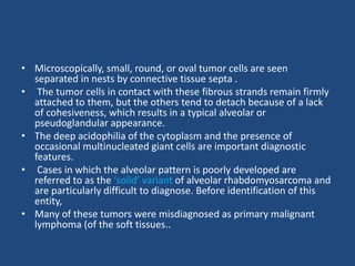 • Microscopically, small, round, or oval tumor cells are seen
separated in nests by connective tissue septa .
• The tumor cells in contact with these fibrous strands remain firmly
attached to them, but the others tend to detach because of a lack
of cohesiveness, which results in a typical alveolar or
pseudoglandular appearance.
• The deep acidophilia of the cytoplasm and the presence of
occasional multinucleated giant cells are important diagnostic
features.
• Cases in which the alveolar pattern is poorly developed are
referred to as the ‘solid’ variant of alveolar rhabdomyosarcoma and
are particularly difficult to diagnose. Before identification of this
entity,
• Many of these tumors were misdiagnosed as primary malignant
lymphoma (of the soft tissues..
 