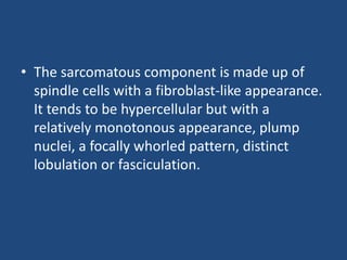 • The sarcomatous component is made up of
spindle cells with a fibroblast-like appearance.
It tends to be hypercellular but with a
relatively monotonous appearance, plump
nuclei, a focally whorled pattern, distinct
lobulation or fasciculation.
 