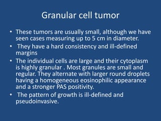 Granular cell tumor
• These tumors are usually small, although we have
seen cases measuring up to 5 cm in diameter.
• They have a hard consistency and ill-defined
margins
• The individual cells are large and their cytoplasm
is highly granular . Most granules are small and
regular. They alternate with larger round droplets
having a homogeneous eosinophilic appearance
and a stronger PAS positivity.
• The pattern of growth is ill-defined and
pseudoinvasive.
 