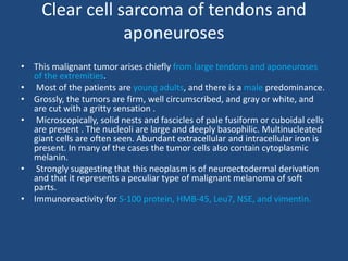 Clear cell sarcoma of tendons and
aponeuroses
• This malignant tumor arises chiefly from large tendons and aponeuroses
of the extremities.
• Most of the patients are young adults, and there is a male predominance.
• Grossly, the tumors are firm, well circumscribed, and gray or white, and
are cut with a gritty sensation .
• Microscopically, solid nests and fascicles of pale fusiform or cuboidal cells
are present . The nucleoli are large and deeply basophilic. Multinucleated
giant cells are often seen. Abundant extracellular and intracellular iron is
present. In many of the cases the tumor cells also contain cytoplasmic
melanin.
• Strongly suggesting that this neoplasm is of neuroectodermal derivation
and that it represents a peculiar type of malignant melanoma of soft
parts.
• Immunoreactivity for S-100 protein, HMB-45, Leu7, NSE, and vimentin.
 
