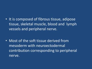 • It is composed of fibrous tissue, adipose
tissue, skeletal muscle, blood and lymph
vessels and peripheral nerve.
• Most of the soft tissue derived from
mesoderm with neuroectodermal
contribution corresponding to peripheral
nerve.
 