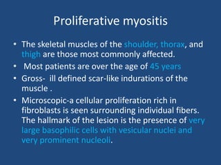 Proliferative myositis
• The skeletal muscles of the shoulder, thorax, and
thigh are those most commonly affected.
• Most patients are over the age of 45 years
• Gross- ill defined scar-like indurations of the
muscle .
• Microscopic-a cellular proliferation rich in
fibroblasts is seen surrounding individual fibers.
The hallmark of the lesion is the presence of very
large basophilic cells with vesicular nuclei and
very prominent nucleoli.
 