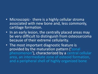 • Microscopic- there is a highly cellular stroma
associated with new bone and, less commonly,
cartilage formation.
• In an early lesion, the centrally placed areas may
be very difficult to distinguish from osteosarcoma
because of their extreme cellularity.
• The most important diagnostic feature is
provided by the maturation pattern (‘zonal
phenomenon’), characterized by a central cellular
area, an intermediate zone of osteoid formation,
and a peripheral shell of highly organized bone
 