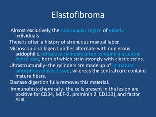 Elastofibroma
Almost exclusively the subscapular region of elderly
individuals
There is often a history of strenuous manual labor.
Microscopic-collagen bundles alternate with numerous
acidophilic, refractive cylinders often containing a central
dense core, both of which stain strongly with elastic stains.
Ultrastructurally- the cylinders are made up of immature
amorphous elastic tissue, whereas the central core contains
mature fibers.
Elastase digestion fully removes this material.
Immunohistochemically- the cells present in the lesion are
positive for CD34, MEF-2, prominin 2 (CD133), and factor
XIIIa
 
