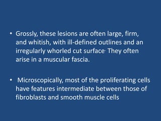 • Grossly, these lesions are often large, firm,
and whitish, with ill-defined outlines and an
irregularly whorled cut surface. They often
arise in a muscular fascia.
• Microscopically, most of the proliferating cells
have features intermediate between those of
fibroblasts and smooth muscle cells
 