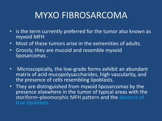 MYXO FIBROSARCOMA
• is the term currently preferred for the tumor also known as
myxoid MFH
• Most of these tumors arise in the extremities of adults.
• Grossly, they are mucoid and resemble myxoid
liposarcomas .
• Microscopically, the low-grade forms exhibit an abundant
matrix of acid mucopolysaccharides, high vascularity, and
the presence of cells resembling lipoblasts.
• They are distinguished from myxoid liposarcomas by the
presence elsewhere in the tumor of typical areas with the
storiform–pleomorphic MFH pattern and the absence of
true lipoblasts.
 
