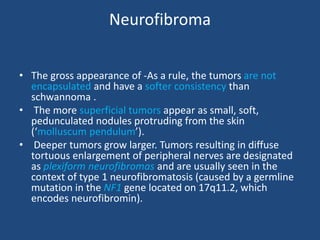 Neurofibroma
• The gross appearance of -As a rule, the tumors are not
encapsulated and have a softer consistency than
schwannoma .
• The more superficial tumors appear as small, soft,
pedunculated nodules protruding from the skin
(‘molluscum pendulum’).
• Deeper tumors grow larger. Tumors resulting in diffuse
tortuous enlargement of peripheral nerves are designated
as plexiform neurofibromas and are usually seen in the
context of type 1 neurofibromatosis (caused by a germline
mutation in the NF1 gene located on 17q11.2, which
encodes neurofibromin).
 