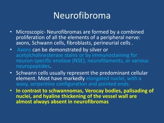 Neurofibroma
• Microscopic- Neurofibromas are formed by a combined
proliferation of all the elements of a peripheral nerve:
axons, Schwann cells, fibroblasts, perineurial cells .
• Axons can be demonstrated by silver or
acetylcholinesterase stains or by immunostaining for
neuron-specific enolase (NSE), neurofilaments, or various
neuropeptides.
• Schwann cells usually represent the predominant cellular
element. Most have markedly elongated nuclei, with a
wavy, serpentine configuration and pointed ends.
• In contrast to schwannomas, Verocay bodies, palisading of
nuclei, and hyaline thickening of the vessel wall are
almost always absent in neurofibromas
 