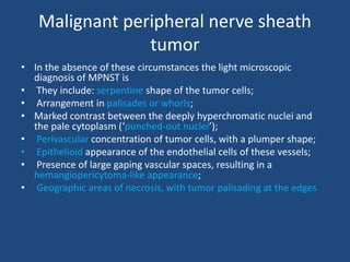 Malignant peripheral nerve sheath
tumor
• In the absence of these circumstances the light microscopic
diagnosis of MPNST is
• They include: serpentine shape of the tumor cells;
• Arrangement in palisades or whorls;
• Marked contrast between the deeply hyperchromatic nuclei and
the pale cytoplasm (‘punched-out nuclei’);
• Perivascular concentration of tumor cells, with a plumper shape;
• Epithelioid appearance of the endothelial cells of these vessels;
• Presence of large gaping vascular spaces, resulting in a
hemangiopericytoma-like appearance;
• Geographic areas of necrosis, with tumor palisading at the edges
 