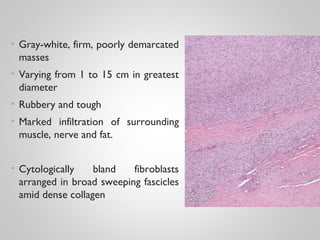 • Gray-white, firm, poorly demarcated
masses
• Varying from 1 to 15 cm in greatest
diameter
• Rubbery and tough
• Marked infiltration of surrounding
muscle, nerve and fat.
• Cytologically bland fibroblasts
arranged in broad sweeping fascicles
amid dense collagen
 