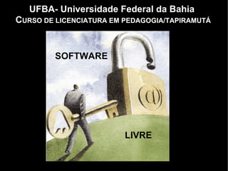 UFBA- Universidade Federal da Bahia  C URSO DE LICENCIATURA EM PEDAGOGIA/TAPIRAMUTÁ SOFTWARE LIVRE 